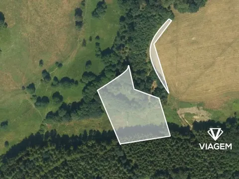 Prodej podílu pole, Šluknov, 2762 m2