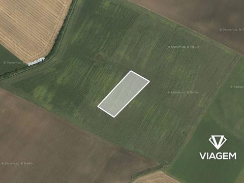 Prodej podílu pole, Roštění, 1196 m2