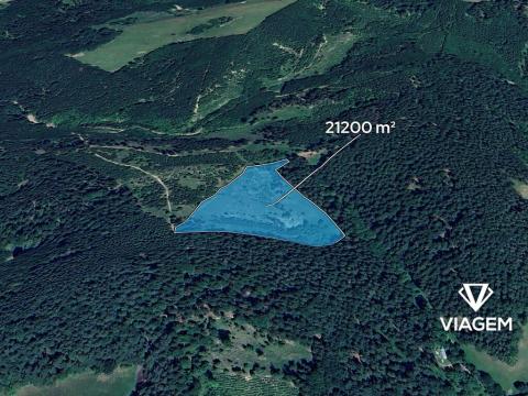 Prodej lesa, Všemina, 21200 m2