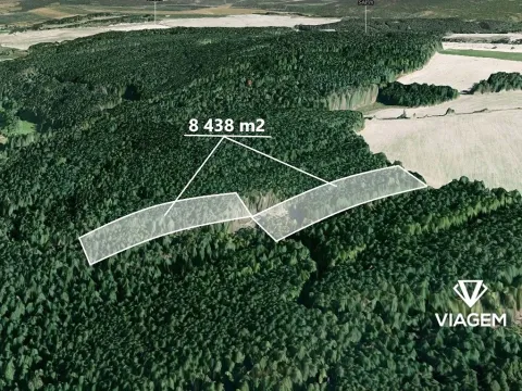 Prodej podílu lesa, Manětín, 4219 m2