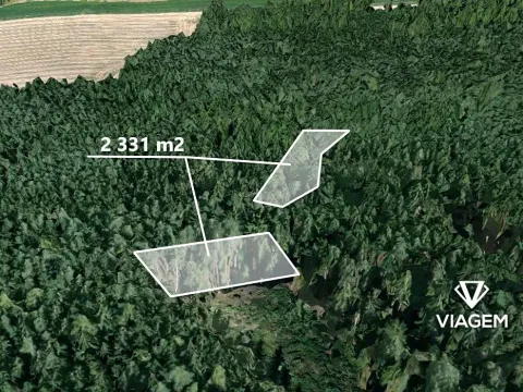 Prodej lesa, Bílov, 2331 m2