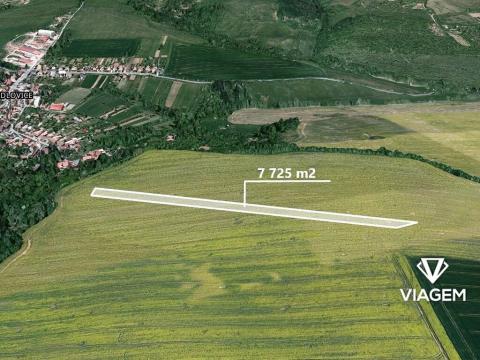 Prodej podílu pole, Medlovice, 1931 m2