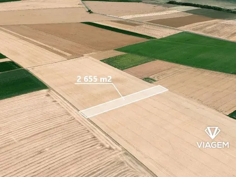 Prodej pole, Syrovice, 2655 m2