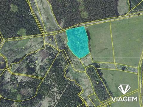 Prodej podílu lesa, Nová Ves u Leštiny, 1198 m2