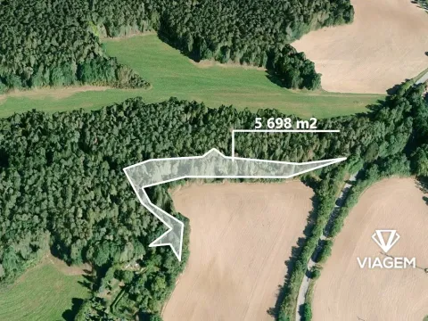 Prodej podílu lesa, Čím, 2849 m2