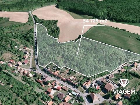 Prodej podílu zahrady, Pašovice, 11619 m2