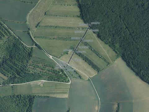 Prodej sadu/vinice, Boleradice, 3042 m2