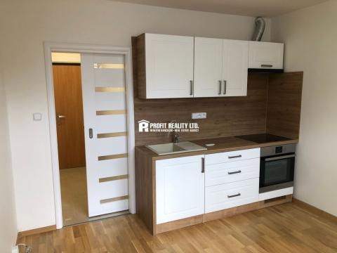 Pronájem bytu 1+kk, Praha - Krč, Štúrova, 20 m2