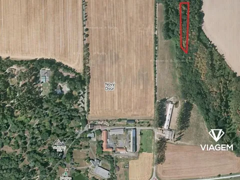 Prodej podílu lesa, Stěbořice, 741 m2