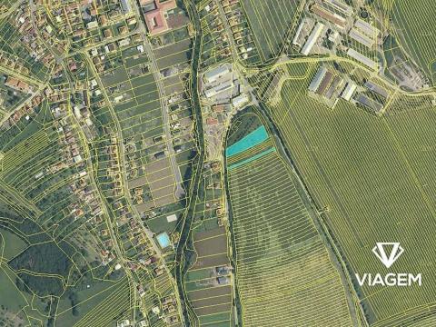 Prodej podílu pole, Štítná nad Vláří-Popov, 206 m2