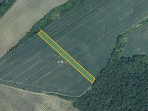 Prodej pole, Mutěnice, 5978 m2