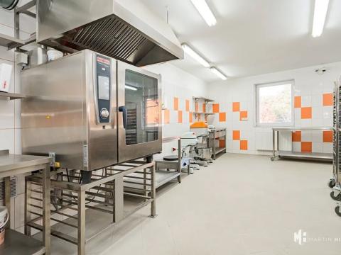 Pronájem výrobních prostor, Zlonín, Hlavní, 50 m2