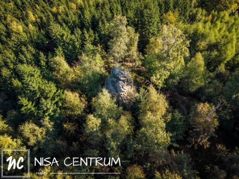 Prodej lesa, Šimonovice, 30343 m2