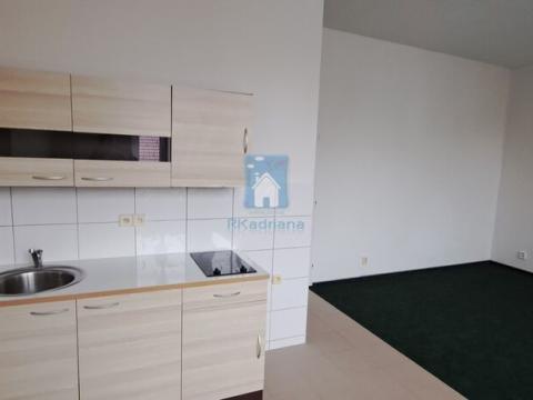Pronájem bytu 1+kk, Plzeň, Černická, 28 m2