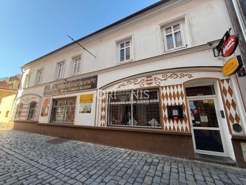 Pronájem rodinného domu, Chomutov, Příční, 250 m2