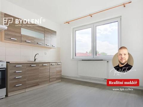 Pronájem bytu 1+1, Proboštov, Kpt. Jaroše, 41 m2