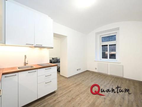Pronájem bytu 1+1, Praha - Podolí, Sinkulova, 27 m2