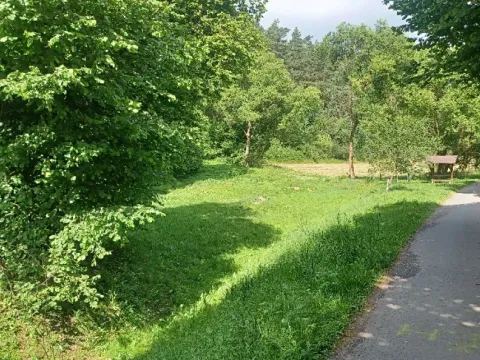 Dražba pozemku, Tuhaň, 11174 m2