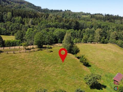 Prodej pozemku pro bydlení, Olešnice v Orlických horách, 4823 m2