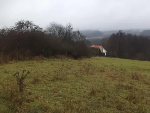 Dražba pole, Lovečkovice, 21494 m2