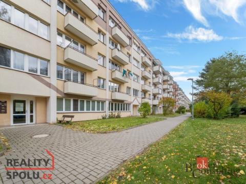 Prodej bytu 3+1, Hradec Králové - Slezské Předměstí, Severní, 60 m2