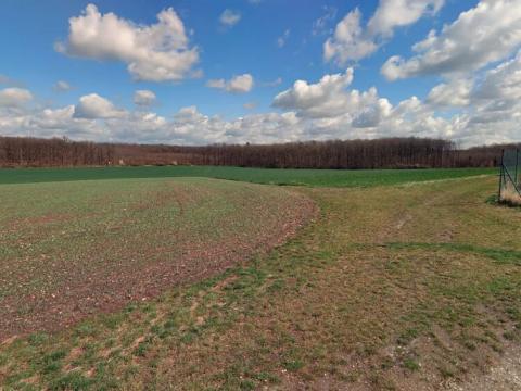 Prodej pole, Lišice, 205582 m2