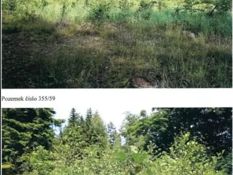 Prodej lesa, Pokojov, 3182 m2