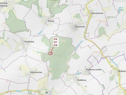 Dražba lesa, Hradčany-Kobeřice, 1703 m2