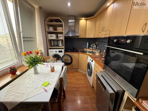 Pronájem bytu 3+1, Most, Maxe Švabinského, 54 m2