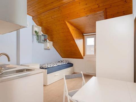 Prodej bytu 1+kk, Praha - Krč, Čerčanská, 19 m2