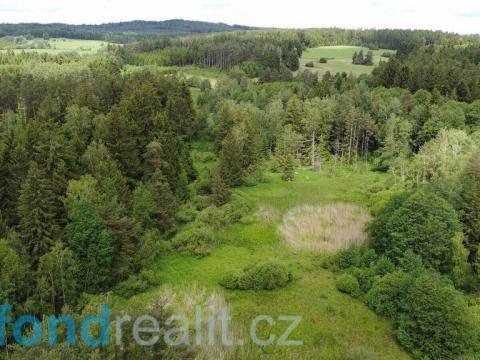 Prodej pozemku, Slavonice - Stálkov, 27662 m2