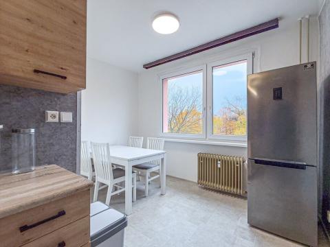 Pronájem bytu 1+1, Chomutov, Písečná, 42 m2