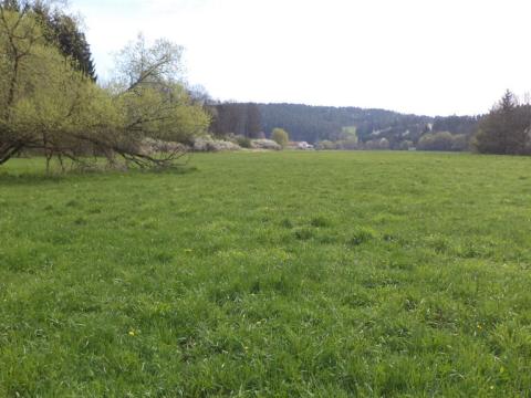 Prodej pozemku, Dešná - Dančovice, 4036 m2