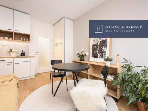 Pronájem bytu 1+kk, Brno, Cejl, 31 m2