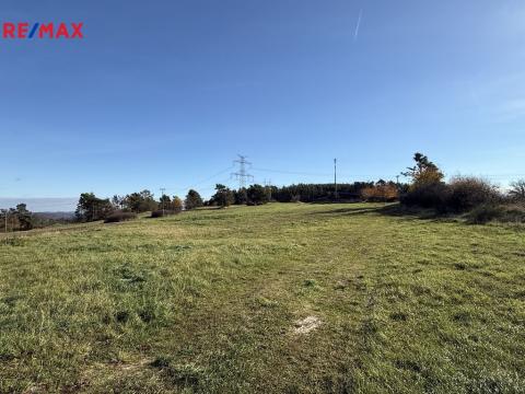 Prodej louky, Nečín, 16453 m2