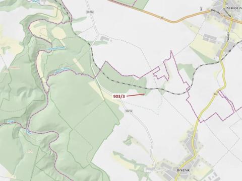 Dražba lesa, Březník, 234 m2