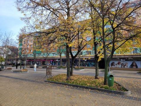 Pronájem bytu 1+1, Pardubice - Zelené Předměstí, Jindřišská, 33 m2