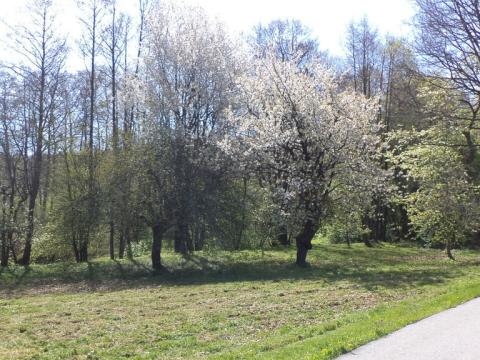 Prodej pozemku, Kamenná - Kondrač, 2542 m2