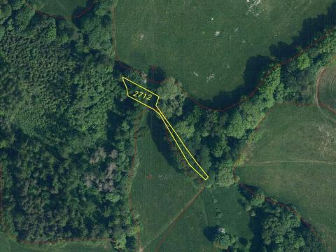 Prodej pole, Benešov u Semil, 606 m2