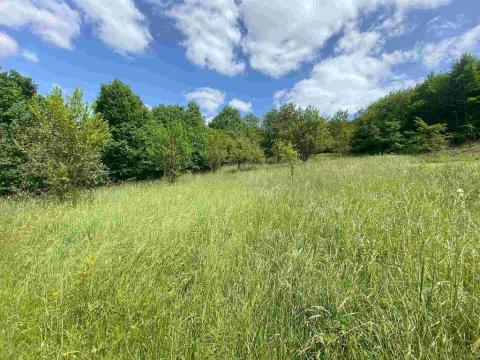 Prodej pozemku, Nedašova Lhota, 2790 m2