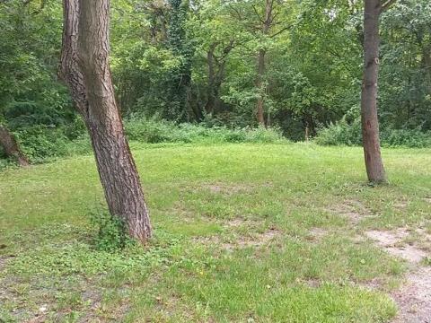 Pronájem zahrady, Horní Beřkovice, 550 m2