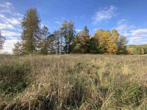 Prodej pozemku, Králíky - Horní Lipka, 3207 m2