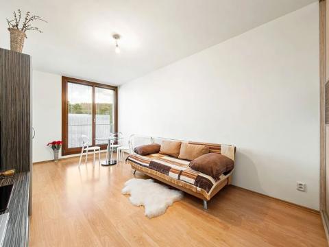 Prodej bytu 1+1, Týnec nad Sázavou, Na Kněžině, 39 m2