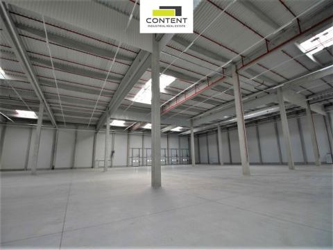 Pronájem výrobních prostor, Karviná - Staré Město, Dětmarovická, 10446 m2