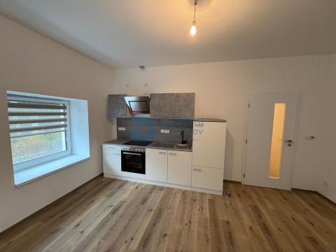 Pronájem bytu 1+kk, Doloplazy, 45 m2