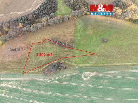 Prodej louky, Skuteč, 3101 m2