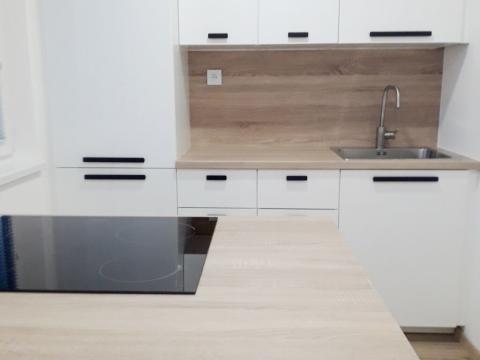 Pronájem bytu 1+1, Frýdek-Místek, I. P. Pavlova, 36 m2