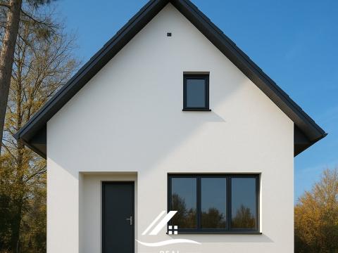 Prodej rodinného domu, Sviadnov, V. Blodka, 50 m2