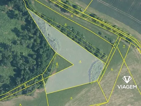 Prodej podílu pole, Sentice, 2703 m2