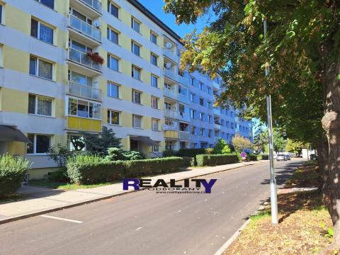 Pronájem bytu 2+1, Žatec, Ostrov, 66 m2